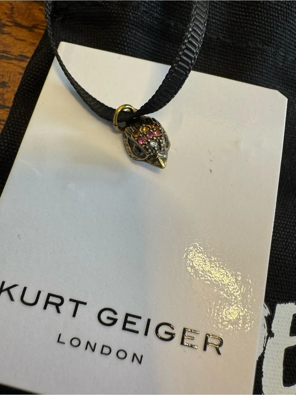 NWOT Kurt Geiger Metallic Rainbow Eagle Head Notebook w/Dust Bag